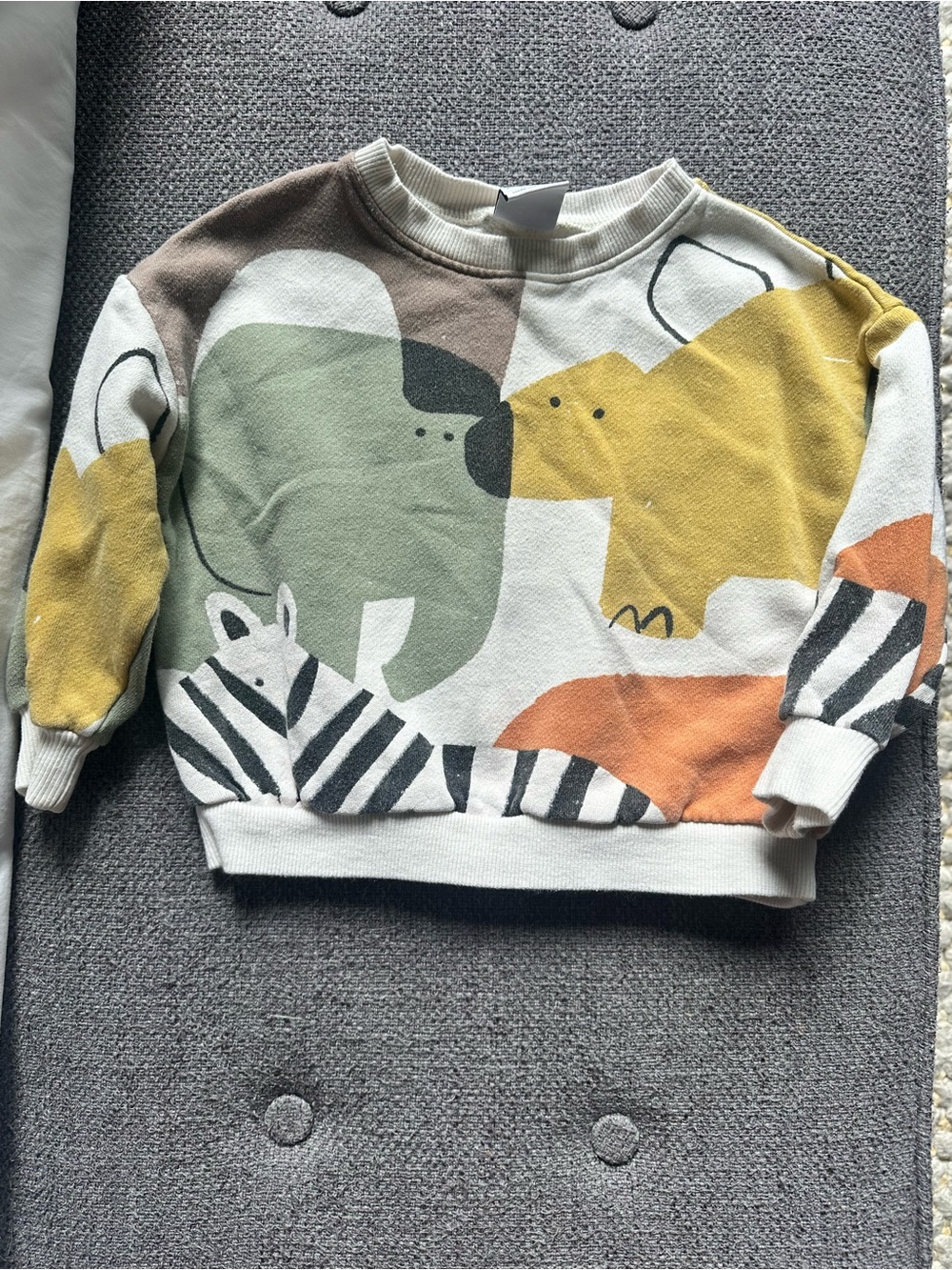 Zara Kids Animal Graphic Sweatshirt 18-24